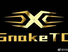 旺财28-关于Karsa关键节点战术调整，TL带队取胜！的信息