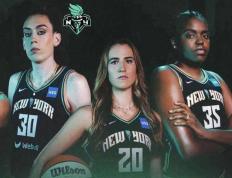 旺财28-冰球半决赛上演强强对话，三湘猎隼队大胜荆楚银狐队，战术调整见效；锋线火力回暖的简单介绍