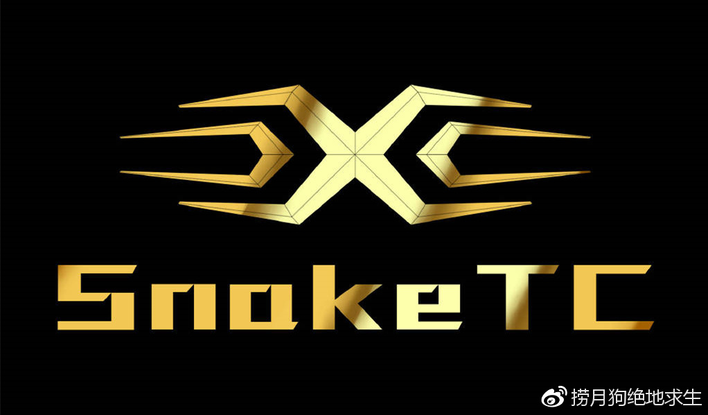 旺财28-关于Karsa关键节点战术调整，TL带队取胜！的信息